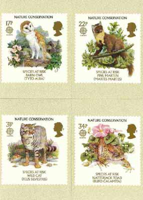 Great Britain 1986 Europa - Nature Conservation set of 4 PHQ cards unused and pristine, stamps on europa, stamps on owls, stamps on birds of prey, stamps on martin, stamps on cats, stamps on toad, stamps on frogs