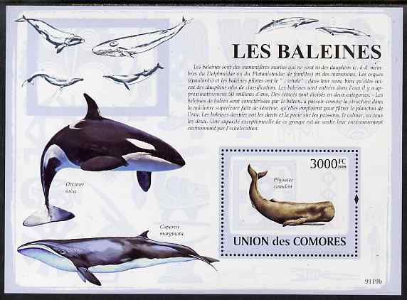 Comoro Islands 2009 Whales perf s/sheet unmounted mint, stamps on , stamps on  stamps on marine life, stamps on  stamps on mammals, stamps on  stamps on whales