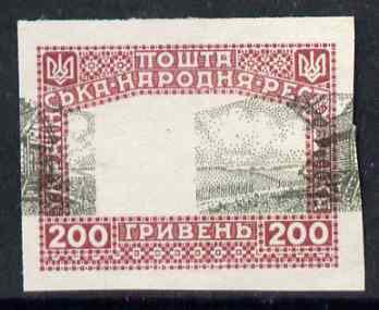 Ukraine 1920 unissued 200 gr Windmill black & claret imperf proof on ungummed paper with centre misplaced 13 mm horizontally (blocks pro rata), stamps on windmills