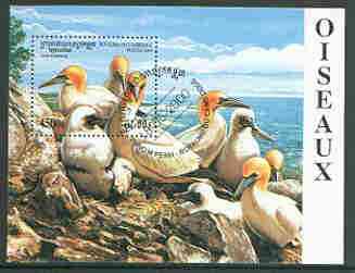 Cambodia 2000 Birds (Gannets) perf m/sheet very fine cto used, stamps on birds, stamps on gannets