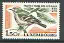 Luxembourg 1970 Bird Protection unmounted mint SG 854*, stamps on birds, stamps on firecrest
