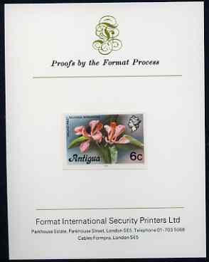 Antigua 1976 Orchid Tree 6c (with imprint) imperf proof mounted on Format International proof card (as SG 475B), stamps on orchids, stamps on trees