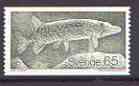 Sweden 1979 Pike 65š (from Wildlife set) unmounted mint SG 1009, stamps on fish, stamps on pike