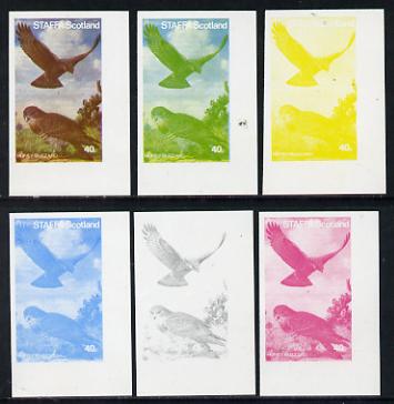 Staffa 1977 Birds of Prey #01 Honey Buzzard 40p set of 6 imperf progressive colour proofs comprising the 4 individual colours plus 2 and all 4-colour composites unmounted..., stamps on birds, stamps on birds of prey