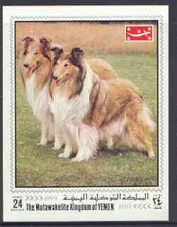 Yemen - Royalist 1970 Dogs (Collies) 24b imperf m/sheet unmounted mint Mi BL 202, stamps on , stamps on  stamps on dogs, stamps on collies