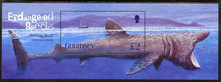 Guernsey 2005 Endangered Species (2nd issue) perf m/sheet unmounted mint, SG MS1085, stamps on marine life, stamps on fish, stamps on sharks