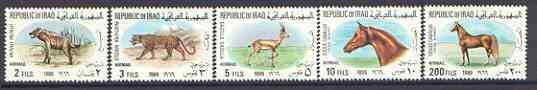 Iraq 1969 Animals complete Air set of 5 unmounted mint, SG 829-33, stamps on animals, stamps on horses, stamps on hyena, stamps on leopard, stamps on cats, stamps on gazelle9