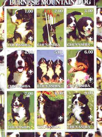 Chuvashia Republic 2000 Dogs (Bernese Mountain Dog) perf sheetlet containing complete set of 9 values, each with Scout logo unmounted mint, stamps on dogs, stamps on scouts, stamps on bernese