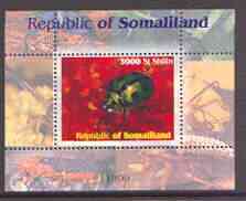 Somaliland 1999 Insects perf souvenir sheet unmounted mint, stamps on insects