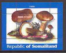 Somaliland 1999 Fungi perf souvenir sheet unmounted mint, stamps on fungi