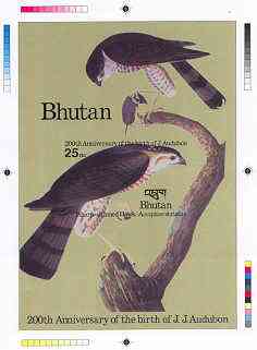 Bhutan 1985 John Audubon Bicentenary - Intermediate stage computer-generated essay #1 (as submitted for approval) for 25nu m/sheet (Sharp-shinned Hawk) 140 x 200 mm very ..., stamps on birds, stamps on audubon, stamps on hawks, stamps on birds of prey