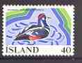 Iceland 1977 Wetlands Campaign (Duck) unmounted mint SG 555, stamps on birds, stamps on ducks