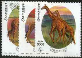 Somalia 2000 Giraffes perf set of 3 unmounted mint Michel 808-10*, stamps on animals, stamps on giraffes