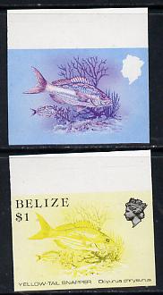 Belize 1984-88 Snapper fish $1 def imperf progressive marginal proofs in red & blue and yellow & black, 2 proofs unmounted mint as SG 778, stamps on fish     marine-life