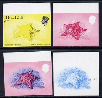 Belize 1984-88 Cushion Star 2c def imperf progressive marginal proofs in blue, red, red & blue and yellow & black, 4 proofs unmounted mint as SG 767, stamps on marine-life