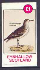 Eynhallow 1982 Sandpiper imperf souvenir sheet (Â£1value) unmounted mint, stamps on birds, stamps on sandpipers