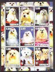 Sakhalin Isle 2001 Dogs (Maltese) perf sheetlet containing complete set of 9 values, each with Scout logo unmounted mint, stamps on dogs, stamps on scouts, stamps on maltese