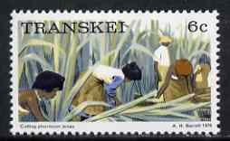 Transkei 1976-83 Cutting Phormium tenax 6c (perf 14) from def set unmounted mint, SG 6a, stamps on flowers, stamps on flax, stamps on hemp