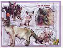 Zaire 1996 Domestic Cats perf m/sheet unmounted mint Mi BL74, stamps on cats