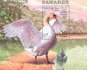 Somalia 1998 Water Birds (Swan) perf m/sheet, unmounted mint, stamps on birds, stamps on swans