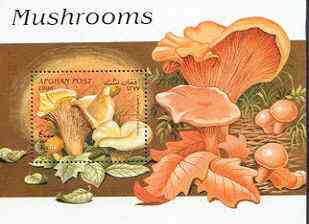 Afghanistan 1998 Fungi perf m/sheet unmounted mint, stamps on fungi