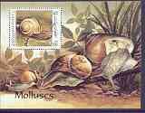 Afghanistan 1999 Molluscs m/sheet unmounted mint, stamps on , stamps on  stamps on marine life, stamps on  stamps on shells