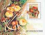 Somalia 1999 Fungi perf m/sheet unmounted mint, stamps on , stamps on  stamps on fungi