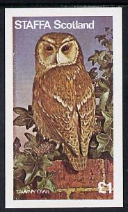 Staffa 1977 Birds of Prey #01 (Tawny Owl) imperf souvenir sheet (Â£1 value) unmounted mint, stamps on birds, stamps on birds of prey, stamps on owls