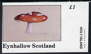 Eynhallow 1982 Fungi (Fly Agaric) imperf souvenir sheet (Â£1 value) unmounted mint, stamps on fungi