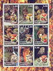 Tadjikistan 2001 Owls & Fungi perf sheetlet containing set of 9 values, each with Rotary Logo, unmounted mint, stamps on birds, stamps on owls, stamps on birds of prey, stamps on fungi, stamps on rotary, stamps on 