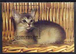 Bashkortostan 2001 Domestic Cats perf m/sheet unmounted mint (Cat on Wicker Chair), stamps on cats