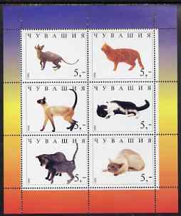 Chuvashia Republic 1998 Domestic cats #1 perf sheetlet containing set of 6 values unmounted mint, stamps on cats