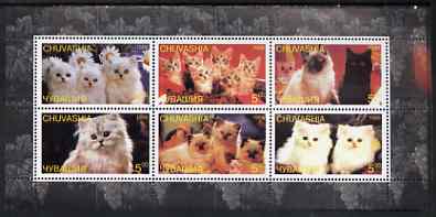 Chuvashia Republic 1998 Domestic cats #2 perf sheetlet containing set of 6 values unmounted mint, stamps on cats