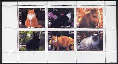 Ingushetia Republic 1998 Domestic cats perf sheetlet containing set of 6 values unmounted mint, stamps on cats