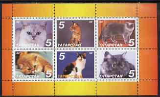 Tatarstan Republic 1998 Domestic cats perf sheetlet containing set of 6 values unmounted mint, stamps on cats