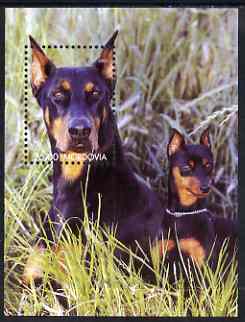 Mordovia Republic 2001 Dogs perf m/sheet unmounted mint (Doberman), stamps on dogs, stamps on doberman