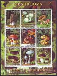 Somalia 2000 Mushrooms #2 perf sheetlet containing set of 9 values cto used, stamps on , stamps on  stamps on fungi