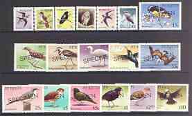St Kitts 1981 Birds definitive set (without imprint date) perf set of 18 opt'd SPECIMEN, as SG 53-70A unmounted mint, stamps on , stamps on  stamps on birds, stamps on  stamps on frigate, stamps on  stamps on birds of prey, stamps on  stamps on owls, stamps on  stamps on martin, stamps on  stamps on heron, stamps on  stamps on egret, stamps on  stamps on turnstone, stamps on  stamps on pelican, stamps on  stamps on bullfinch, stamps on  stamps on dove, stamps on  stamps on kestrel, stamps on  stamps on humming-birds, stamps on  stamps on hummingbirds