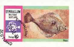 Eynhallow 1973 Plaice imperf souvenir sheet (50p value) cto used, stamps on fish, stamps on plaice