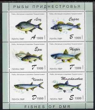 Dnister Moldavian Republic (NMP) 1999 Fish of DMR perf sheetlet containing set of 6 values unmounted mint, stamps on fish
