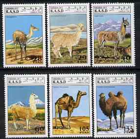 Sahara Republic 1994 Camels complete perf set of 6 values unmounted mint, stamps on animals, stamps on camels, stamps on llamas