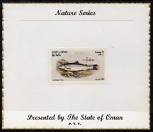 Oman 1972 Fish (Lochleven Trout) imperf (10b value) mounted on special 'Nature Series' presentation card inscribed 'Presented by the State of Oman', stamps on fish, stamps on trout
