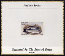 Oman 1972 Fish (Black Finned Trout) imperf (8b value) mounted on special Nature Series presentation card inscribed Presented by the State of Oman, stamps on fish, stamps on trout