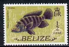 Belize 1974 Mouthbrooder (Crana fish) 1/2c (from def set) unmounted mint SG 362, stamps on fish