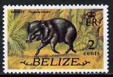 Belize 1974 Peccary 2c (from def set) unmounted mint SG 364, stamps on animals, stamps on swine