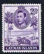 Cayman Islands 1938-48 KG6 Hawksbill Turtles KG6 2d P14 unmounted mint, SG 119a, stamps on animals, stamps on  kg6 , stamps on reptiles, stamps on turtles
