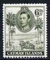 Cayman Islands 1938-48 KG6 Hawksbill Turtles KG6 6d olive-green P11.5x13 unmounted mint, SG 122, stamps on animals, stamps on  kg6 , stamps on reptiles, stamps on turtles