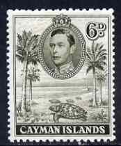 Cayman Islands 1938-48 KG6 Hawksbill Turtles KG6 6d brownish olive P11.5x13 unmounted mint, SG 122b, stamps on animals, stamps on  kg6 , stamps on reptiles, stamps on turtles