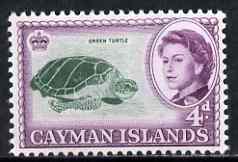 Cayman Islands 1962-64 Green Turtles 4d unmounted mint, SG 171, stamps on animals, stamps on reptiles, stamps on turtles
