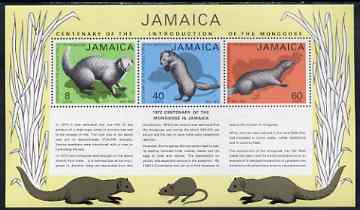 Jamaica 1973 Centenary of Introduction of the Mongoose perf m/sheet unmounted mint, SG MS368, stamps on animals, stamps on mongoose